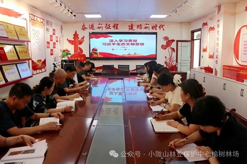 �����ֳ���չȫ����̬��ϵ�л
